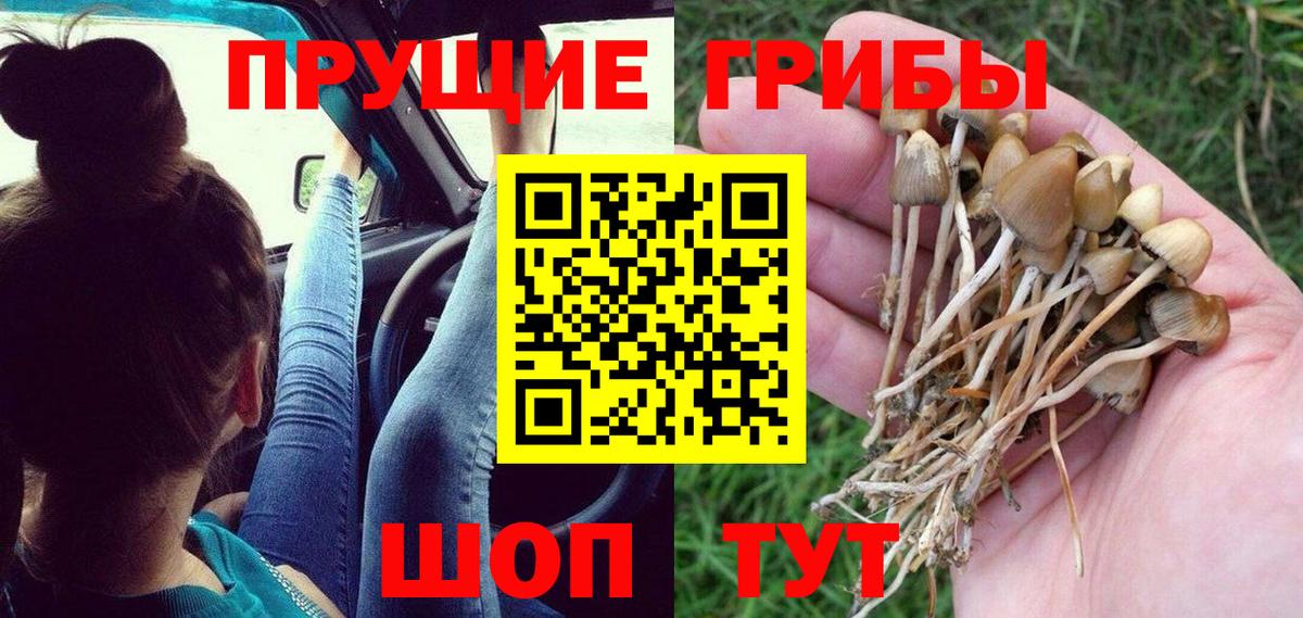 Белогорск  Галлюциногенные грибы мухоморы  Вход с VPN 
