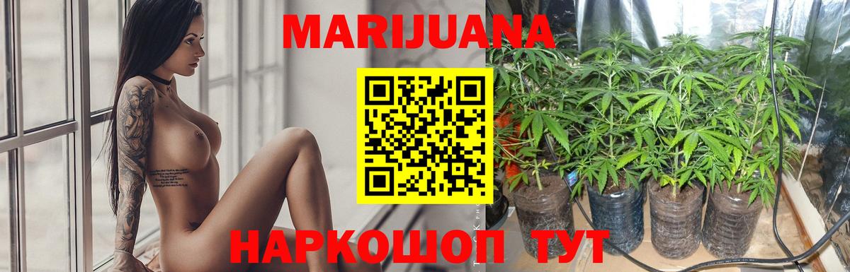 Бошки Шишки семена Белогорск